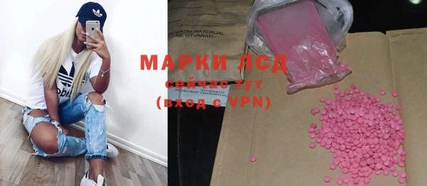 гашик Алексеевка