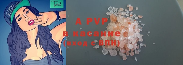 индика Алексин