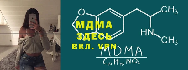 индика Алексин