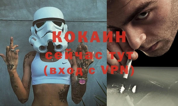 бошки Пересвет