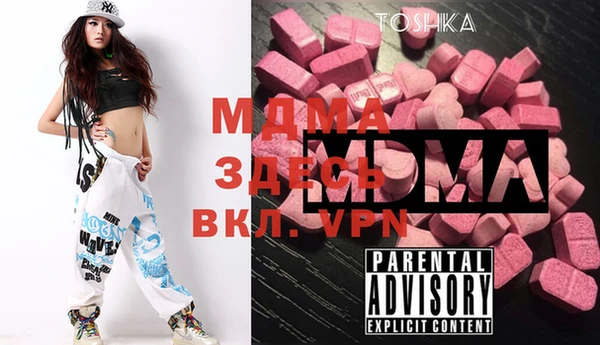 индика Алексин