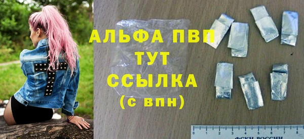 индика Алексин