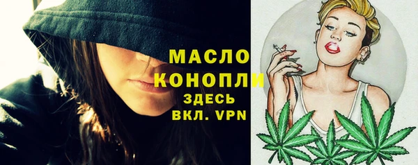 гашик Алексеевка