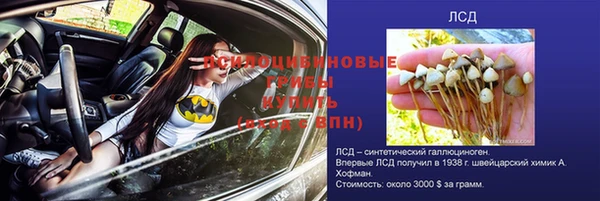 гашик Алексеевка